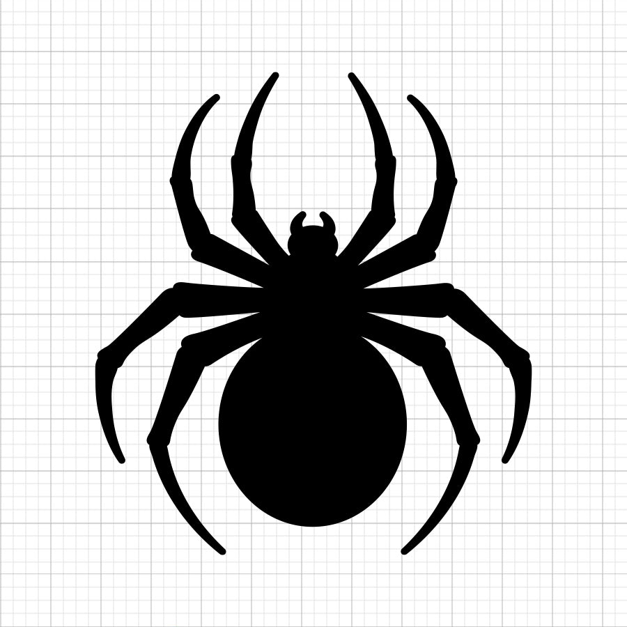 Spider SVG