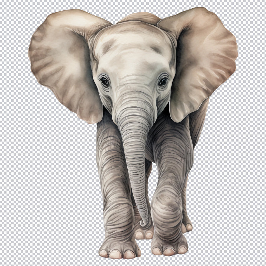 Baby Elephant PNG