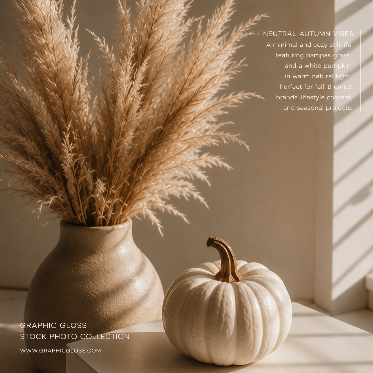 Neutral Autumn Vibes Stock Photography