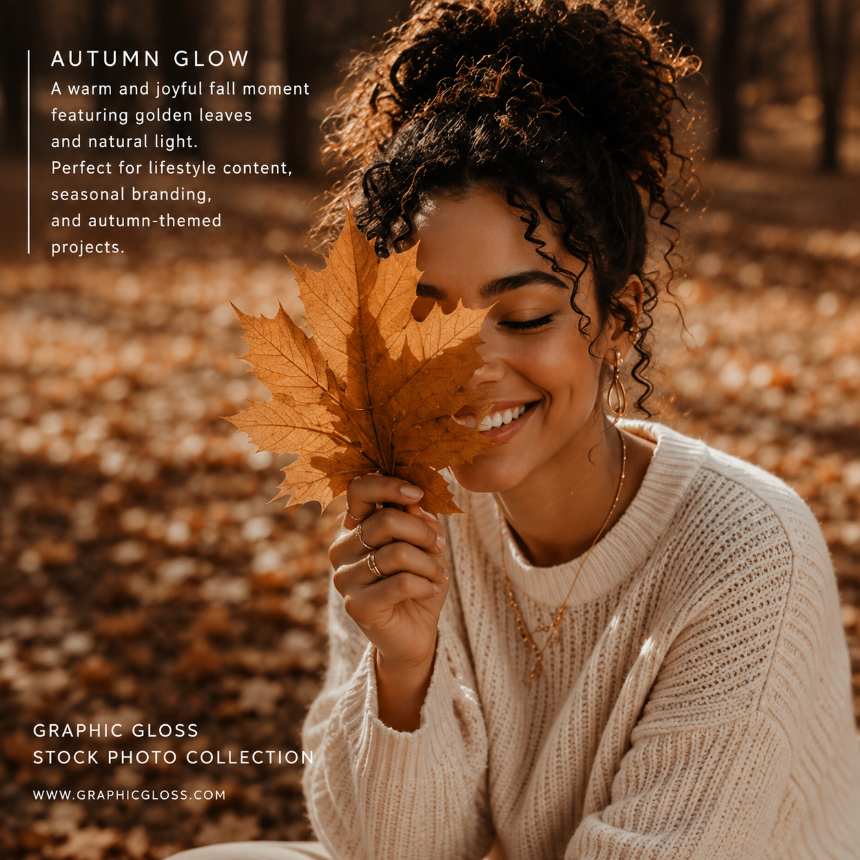 Autumn Glow Stock Photography