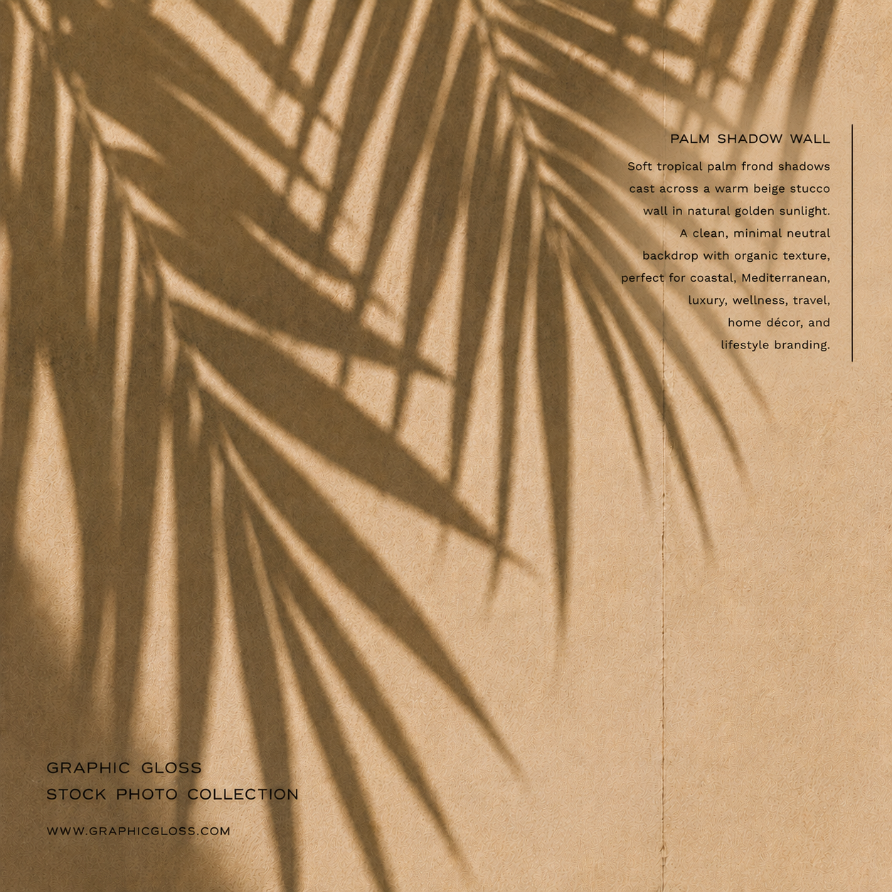 Palm Shadow Wall Stock Photography