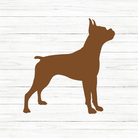 Boxer SVG