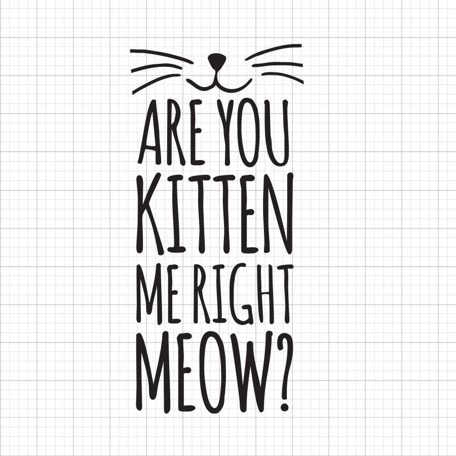 Are You Kitten Me Right Meow SVG Saying