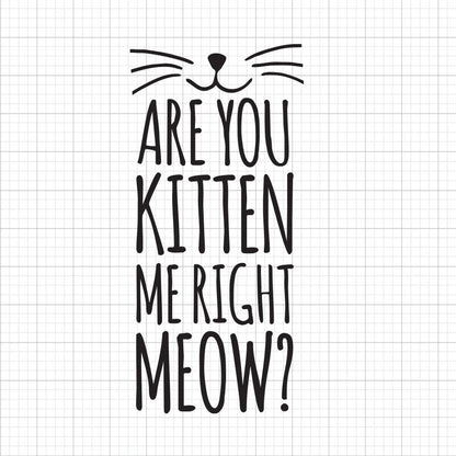 Are You Kitten Me Right Meow SVG Saying